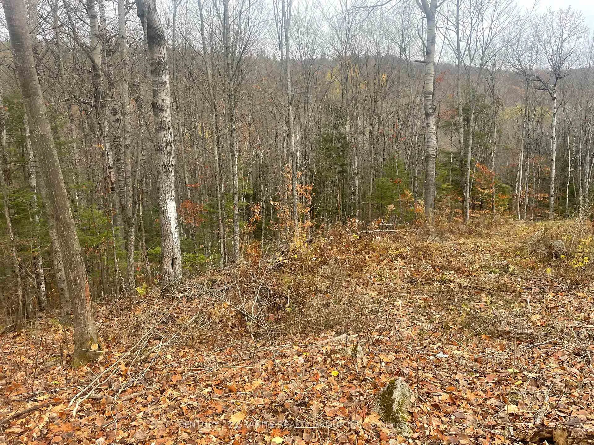 Photo 2 of Snow Road, Bancroft, Bancroft Ward — HOMEH
