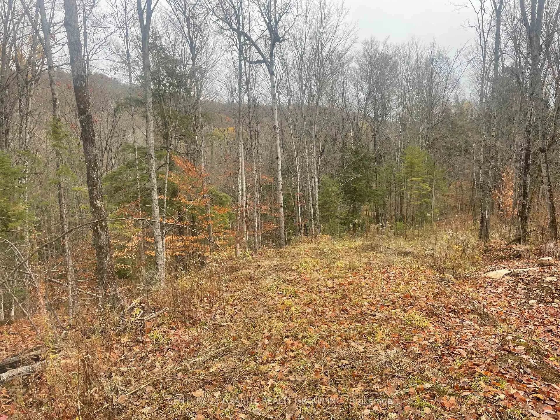 Photo 3 of Snow Road, Bancroft, Bancroft Ward — HOMEH