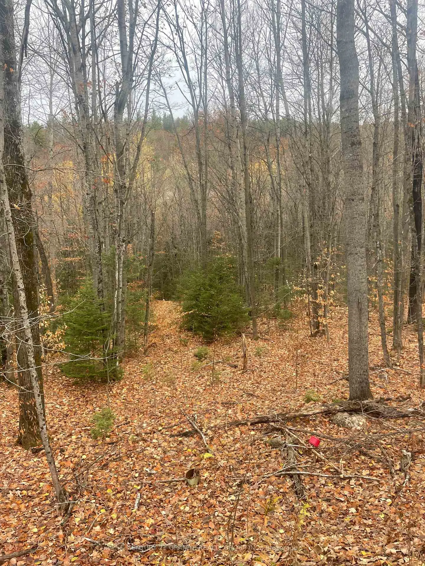 Photo 4 of Snow Road, Bancroft, Bancroft Ward — HOMEH