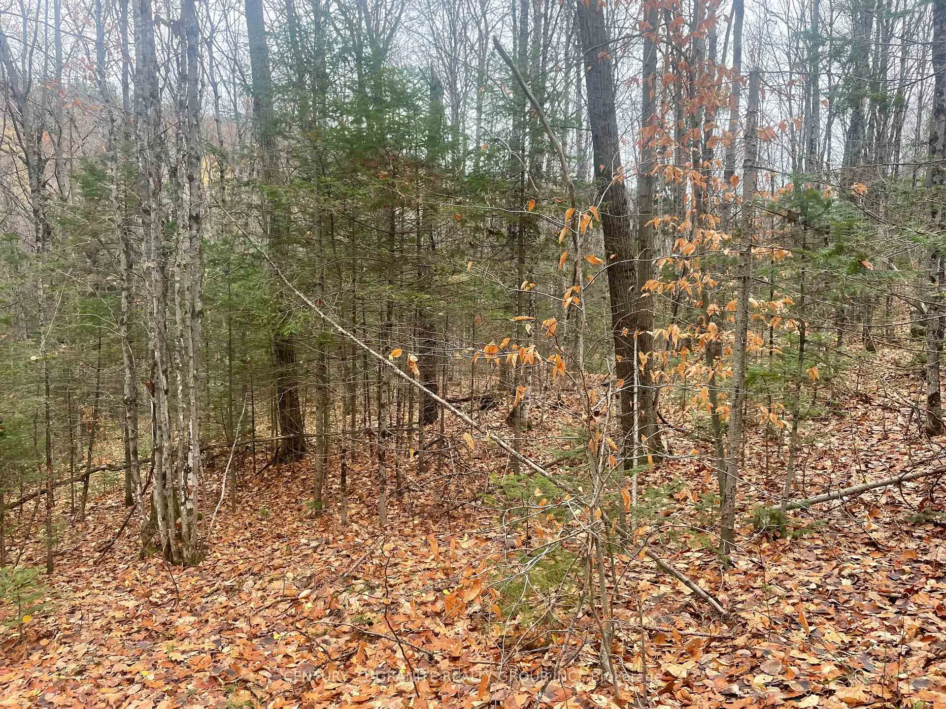 Photo 6 of Snow Road, Bancroft, Bancroft Ward — HOMEH