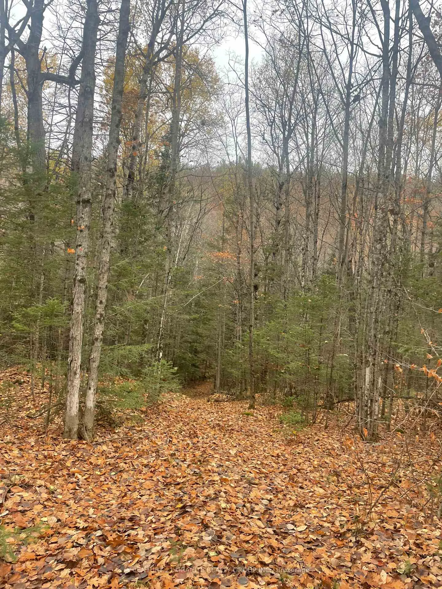 Photo 7 of Snow Road, Bancroft, Bancroft Ward — HOMEH
