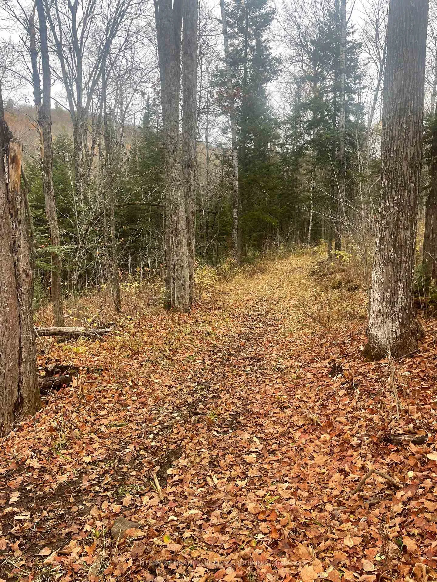 Photo 8 of Snow Road, Bancroft, Bancroft Ward — HOMEH