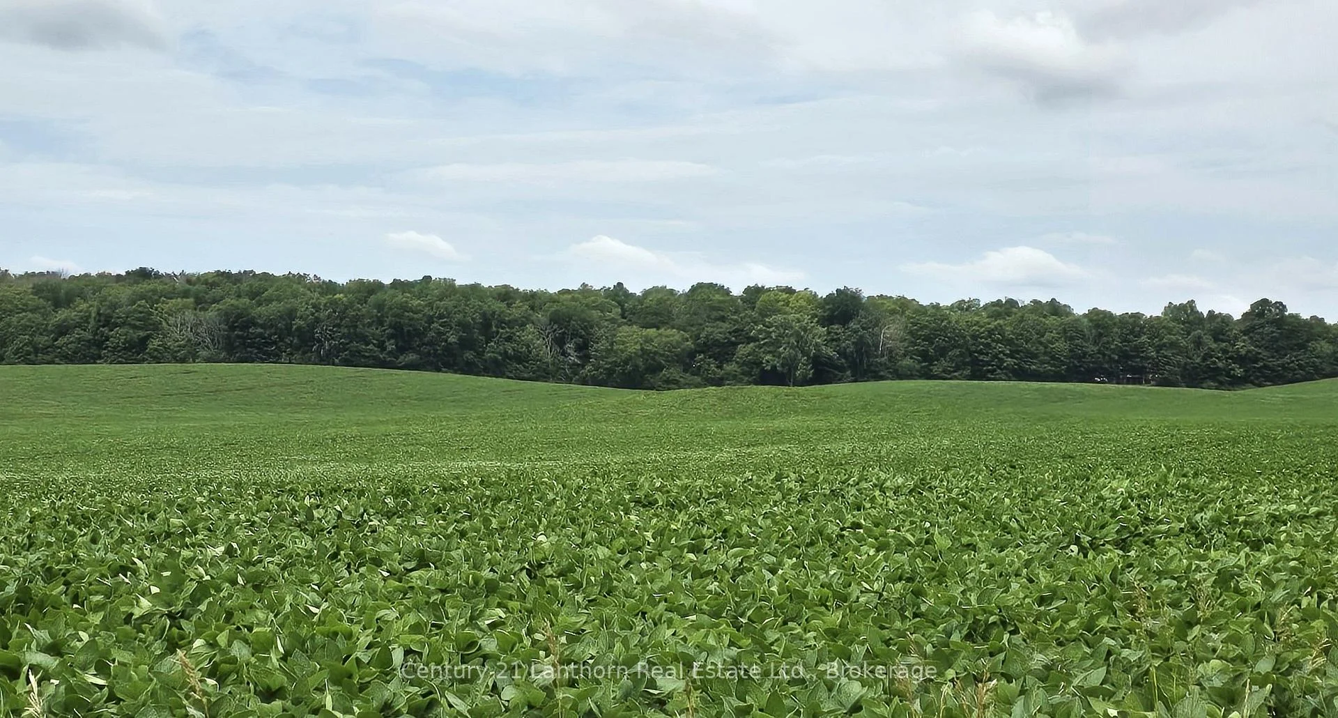 Photo 4 of Willet Road, Belleville, Thurlow Ward — HOMEH