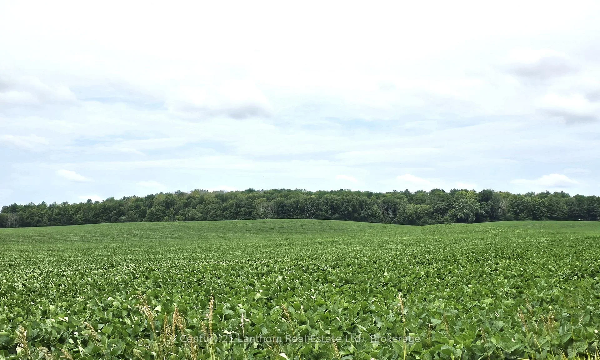 Photo 6 of Willet Road, Belleville, Thurlow Ward — HOMEH