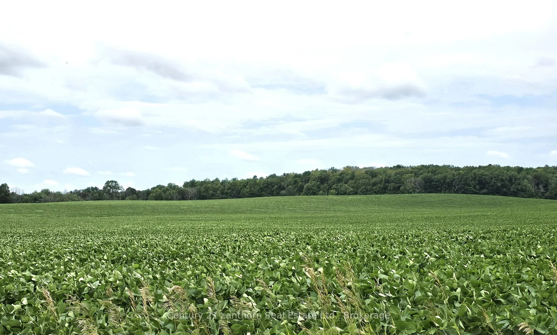 Photo 8 of Willet Road, Belleville, Thurlow Ward — HOMEH