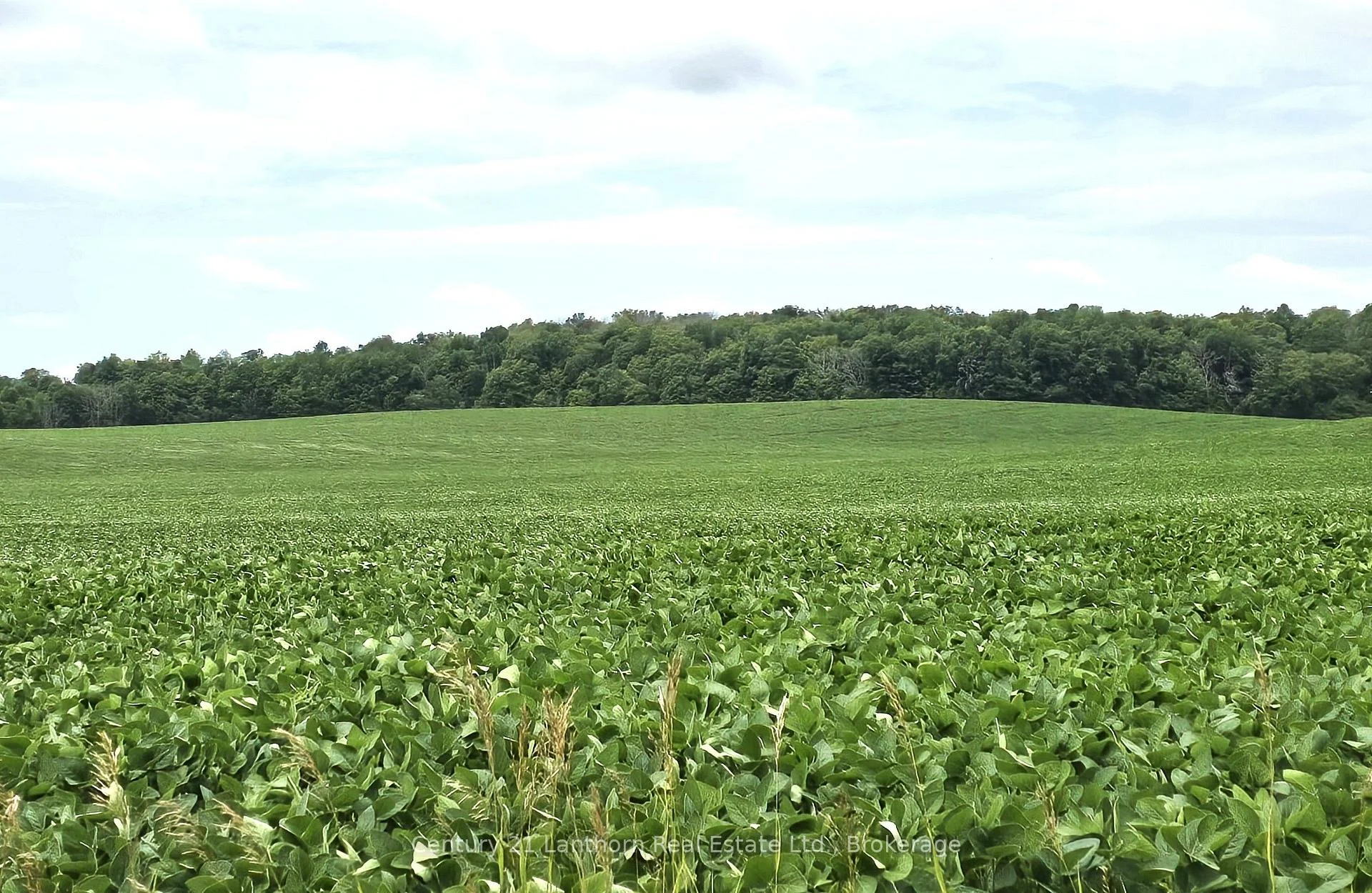 Photo 10 of Willet Road, Belleville, Thurlow Ward — HOMEH
