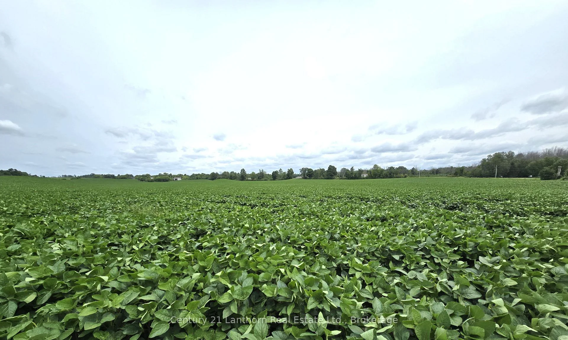 Photo 20 of Willet Road, Belleville, Thurlow Ward — HOMEH