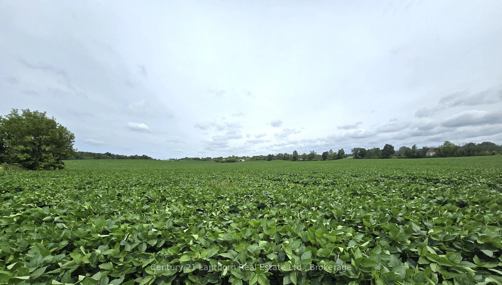 Photo 22 of Willet Road, Belleville, Thurlow Ward — HOMEH
