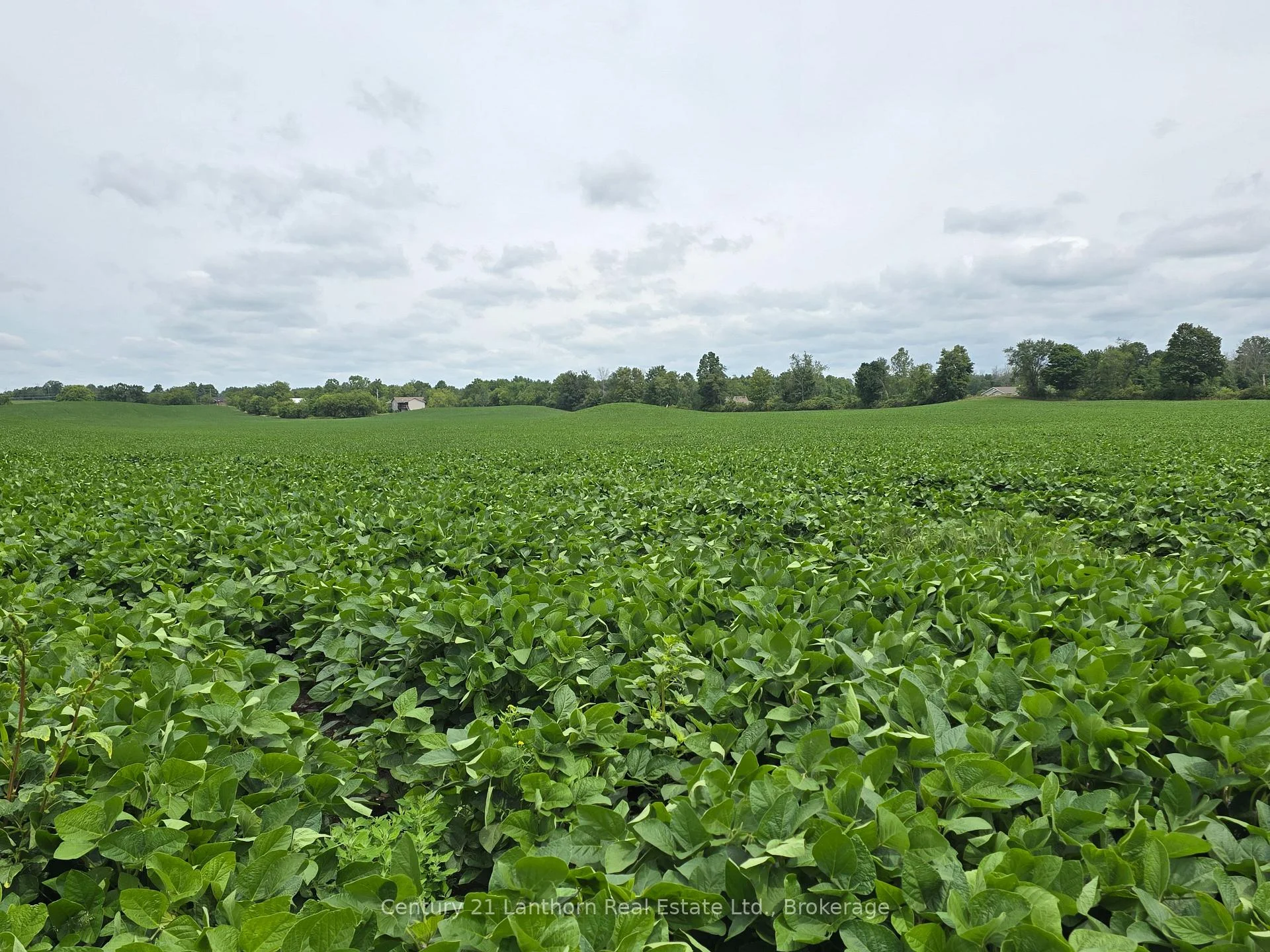 Photo 24 of Willet Road, Belleville, Thurlow Ward — HOMEH