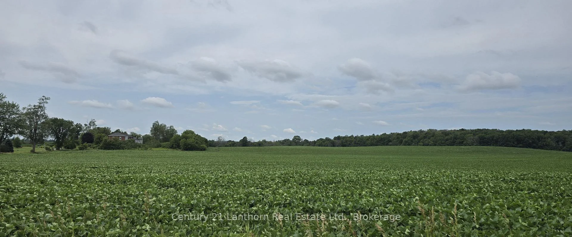 Photo 28 of Willet Road, Belleville, Thurlow Ward — HOMEH