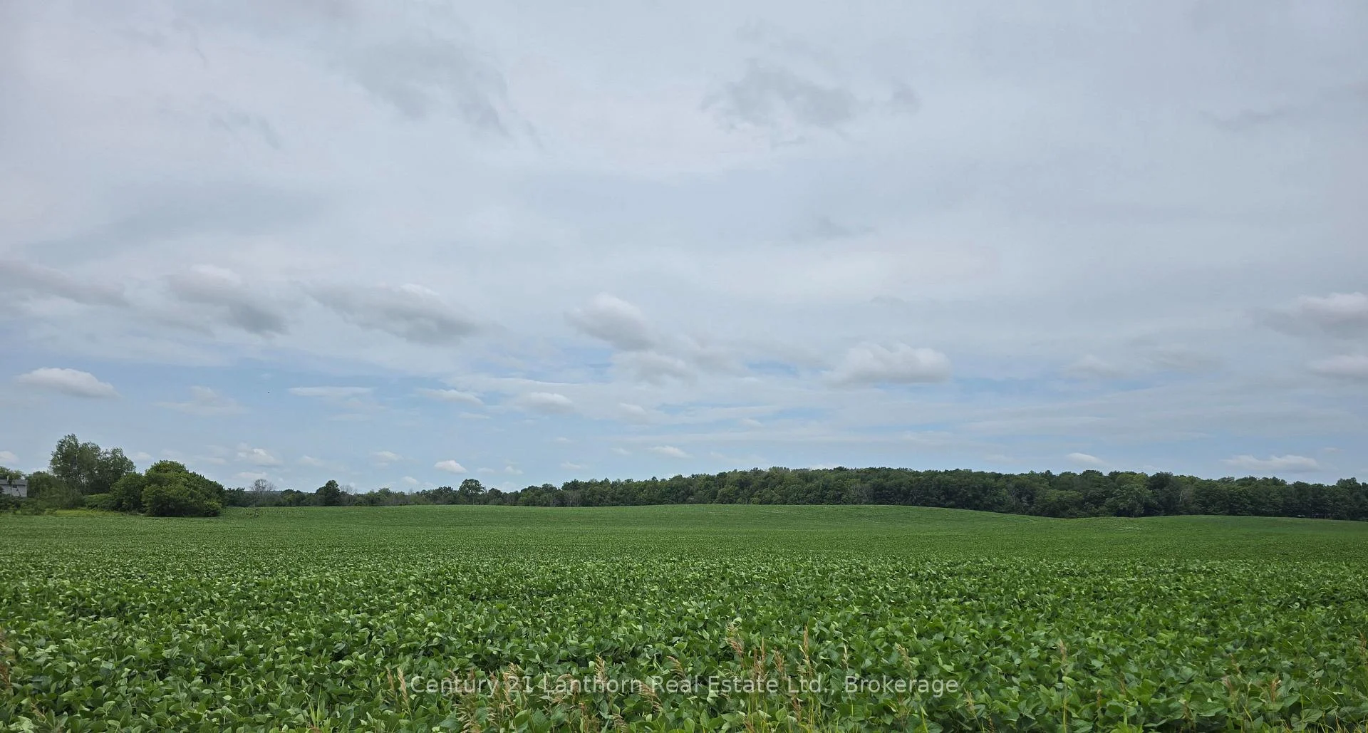 Photo 30 of Willet Road, Belleville, Thurlow Ward — HOMEH