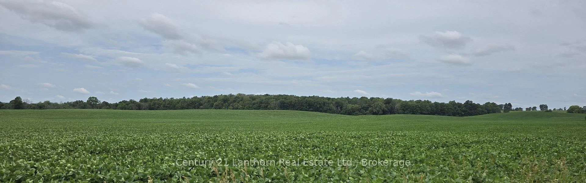 Photo 32 of Willet Road, Belleville, Thurlow Ward — HOMEH