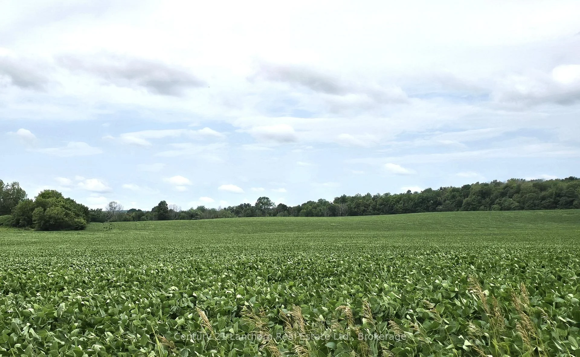 Photo 34 of Willet Road, Belleville, Thurlow Ward — HOMEH