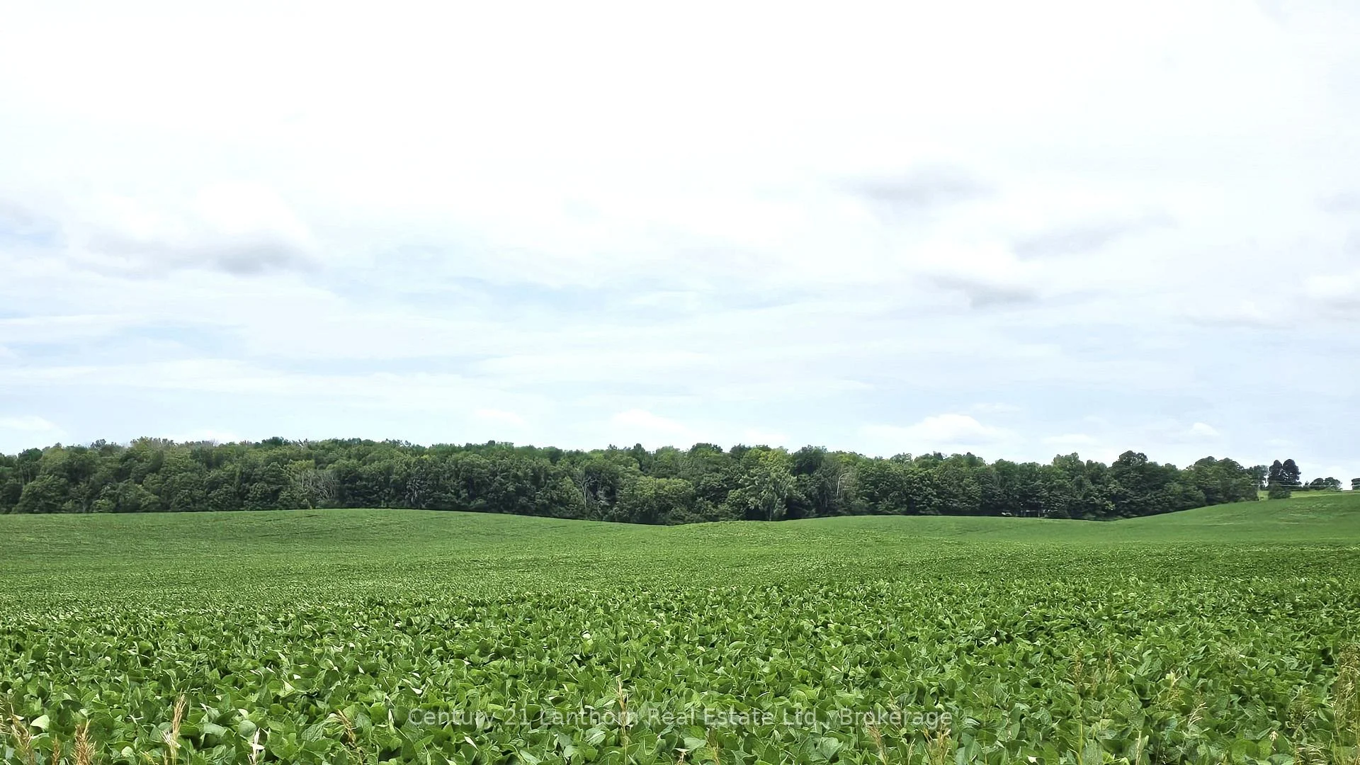 Photo 36 of Willet Road, Belleville, Thurlow Ward — HOMEH