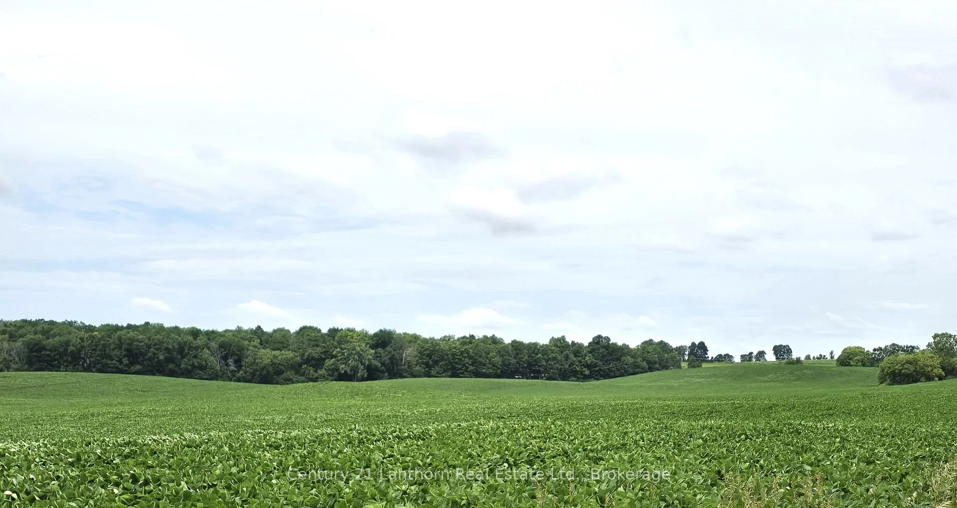 Photo 37 of Willet Road, Belleville, Thurlow Ward — HOMEH