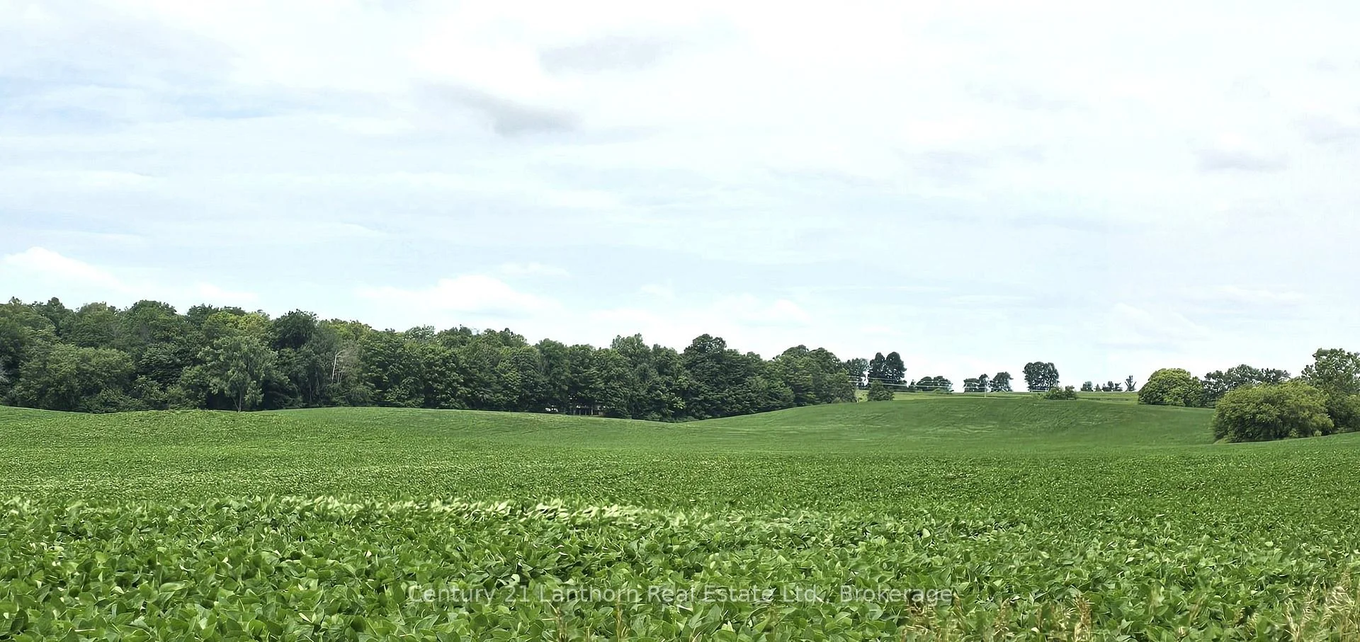 Photo 38 of Willet Road, Belleville, Thurlow Ward — HOMEH