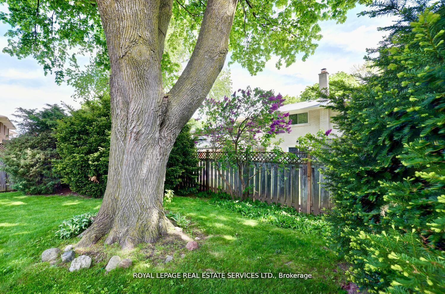 Photo 34 of 39 Pettit Drive, Etobicoke, Willowridge-Martingrove-Richview — HOMEH