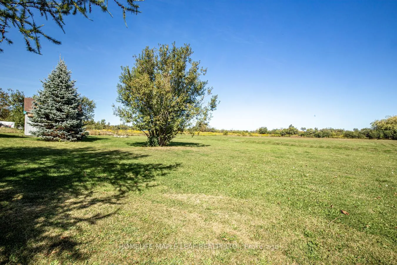 Photo 156 of 473377 County Road 11, Amaranth, Rural Amaranth — HOMEH