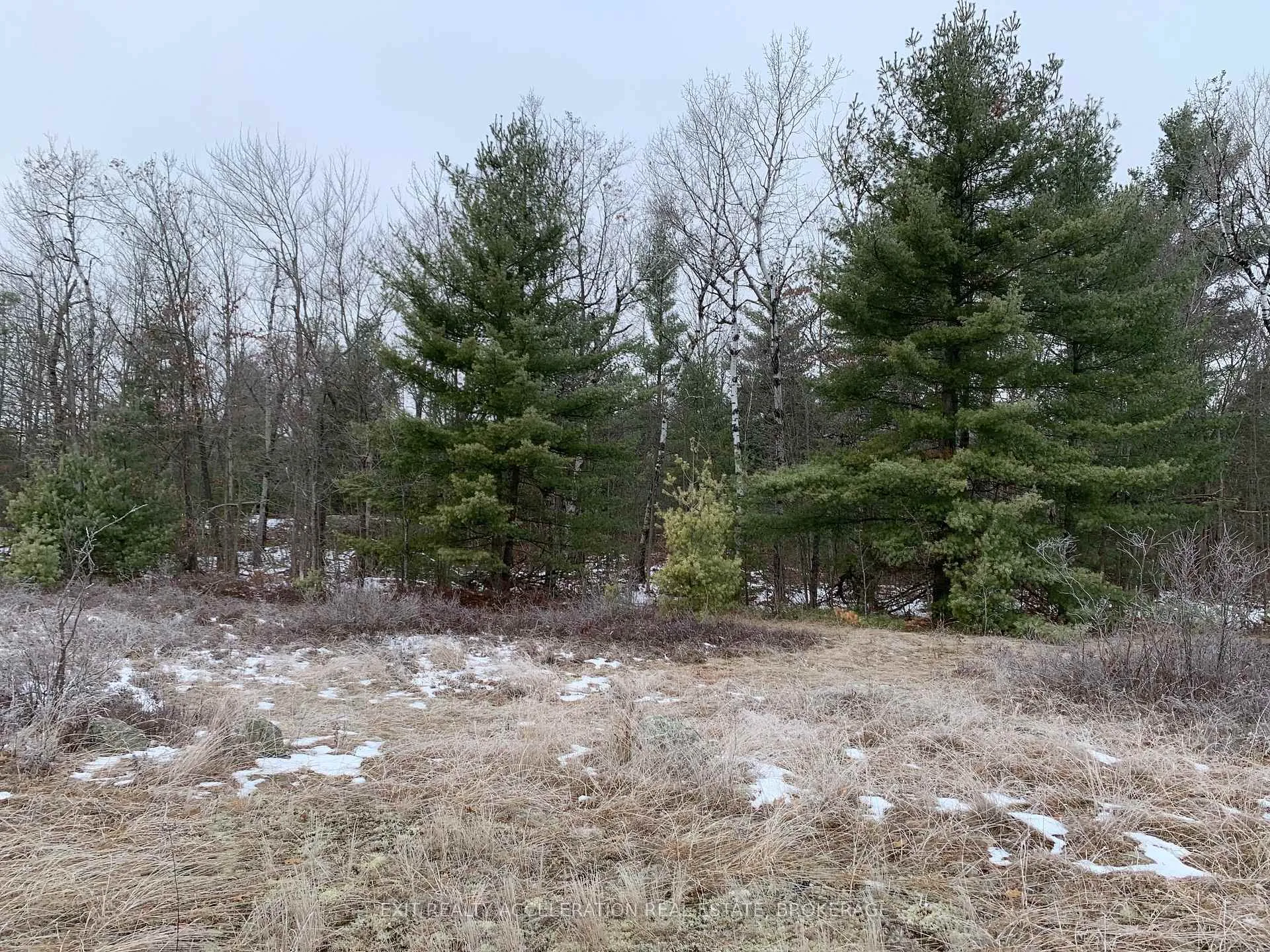 Photo 34 of County Road 41, Addington Highlands — HOMEH