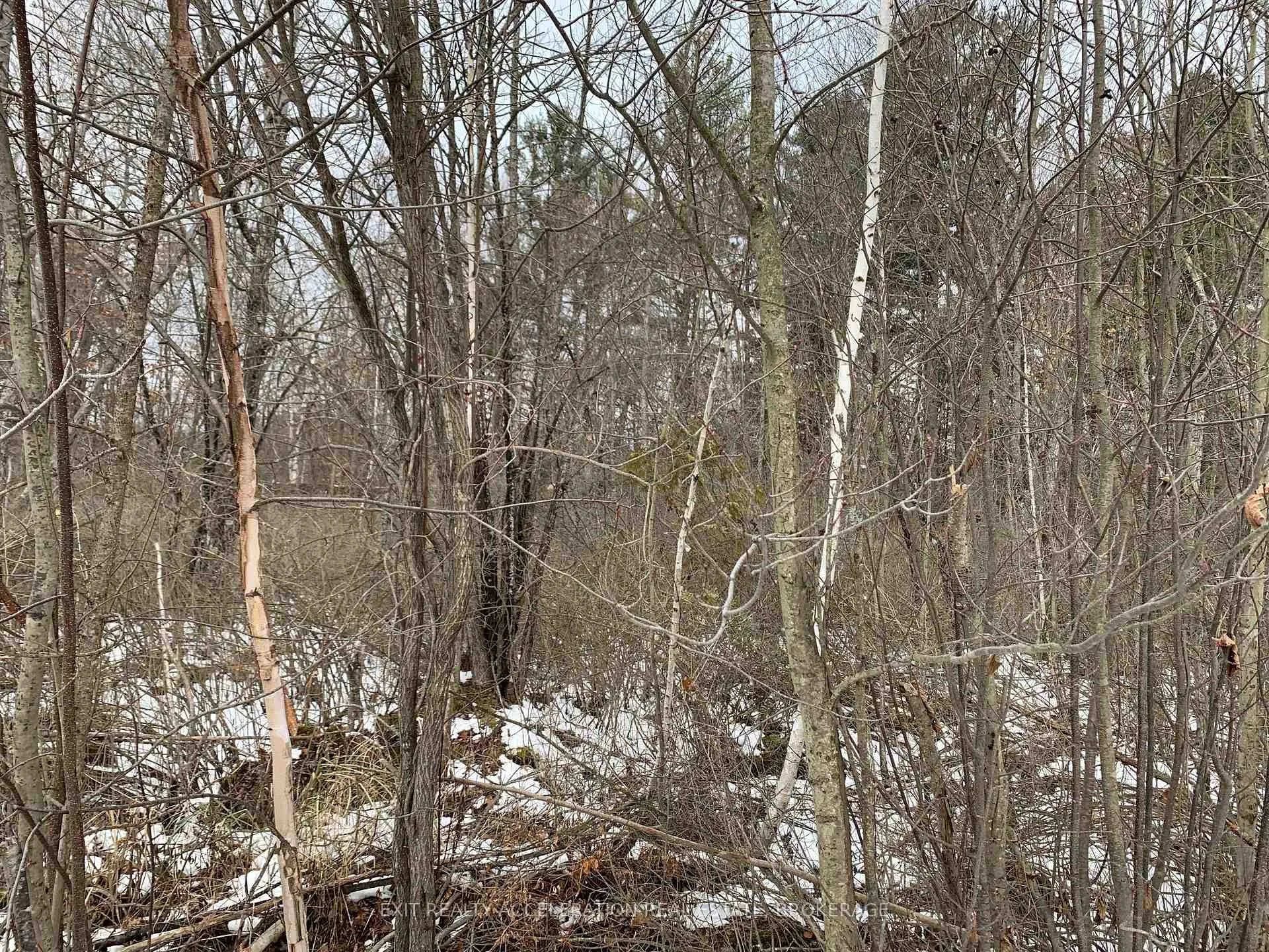 Photo 66 of County Road 41, Addington Highlands — HOMEH