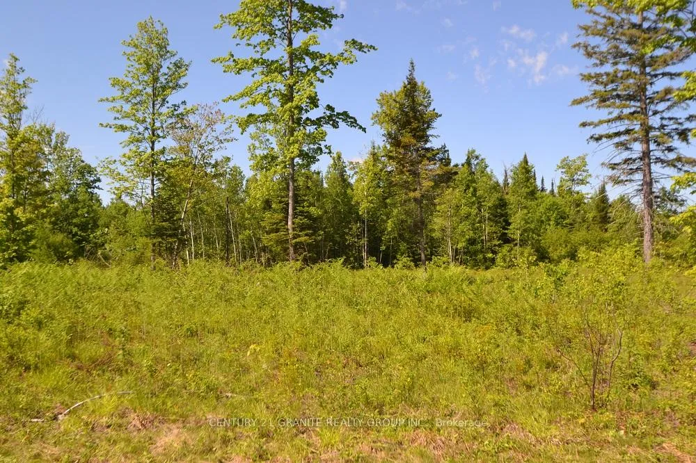Photo 6 of 57 Nicklaus Drive, Bancroft, Bancroft Ward — HOMEH