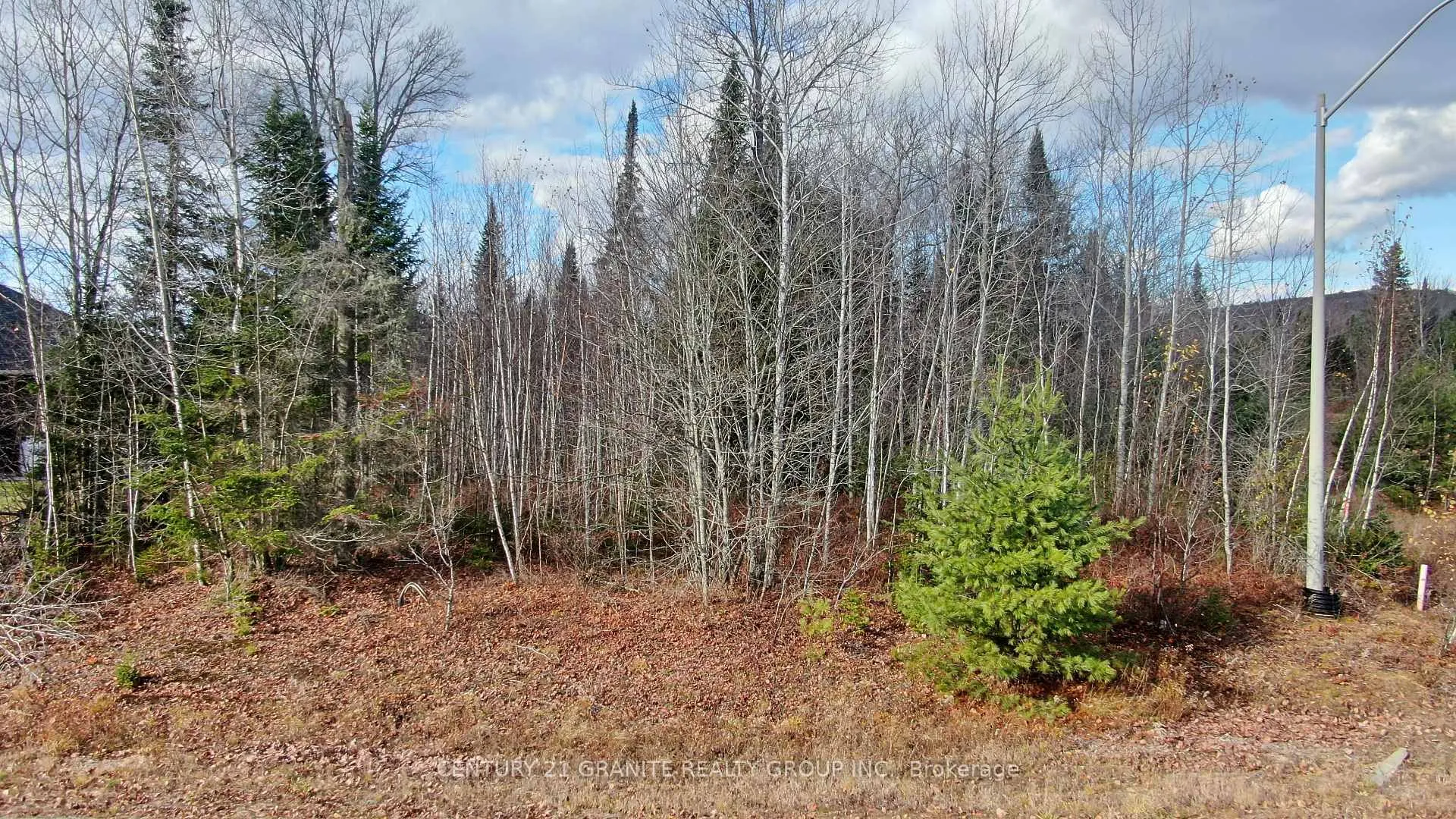 Photo 8 of 57 Nicklaus Drive, Bancroft, Bancroft Ward — HOMEH
