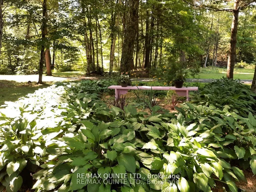 Photo 18 of 3247 Flinton Road, Addington Highlands — HOMEH