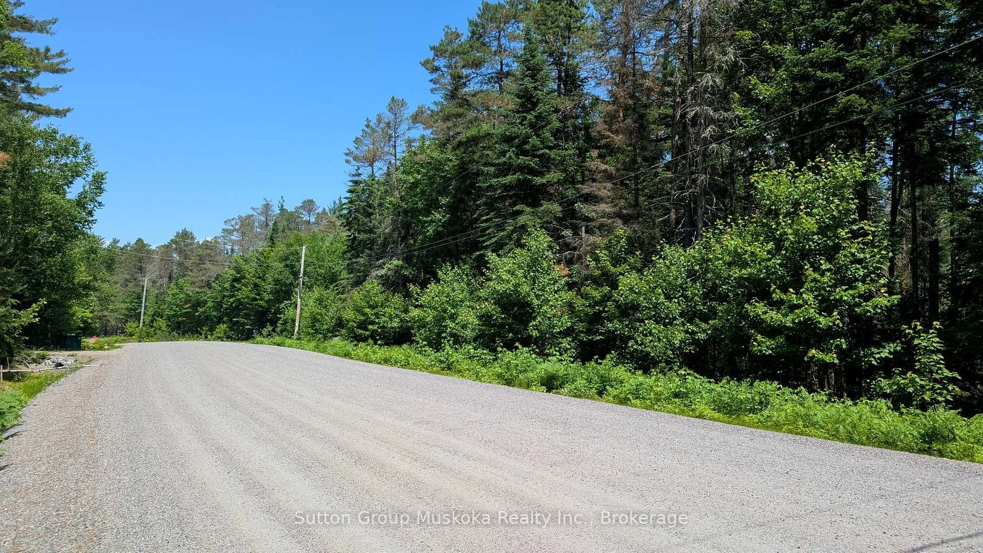 Front of Lot 1 Red Pine Trail
