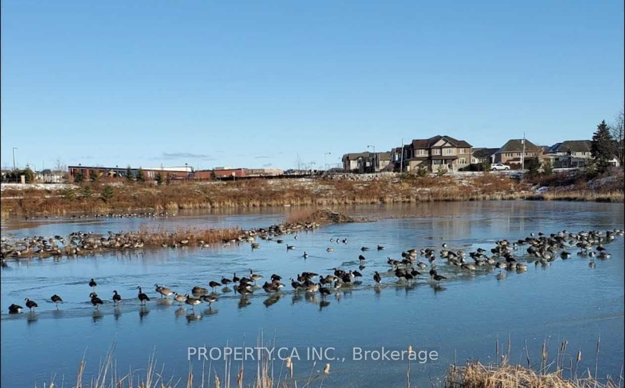 Photo 48 of 420 Dougall Avenue, Caledon, Rural Caledon — HOMEH