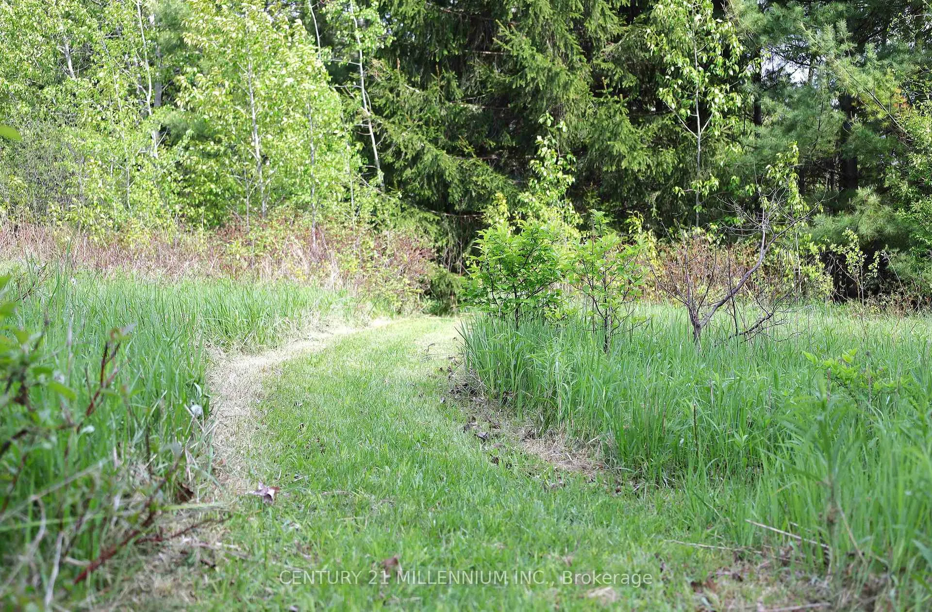 Photo 45 of 23 Grand View Road, Amaranth, Rural Amaranth — HOMEH