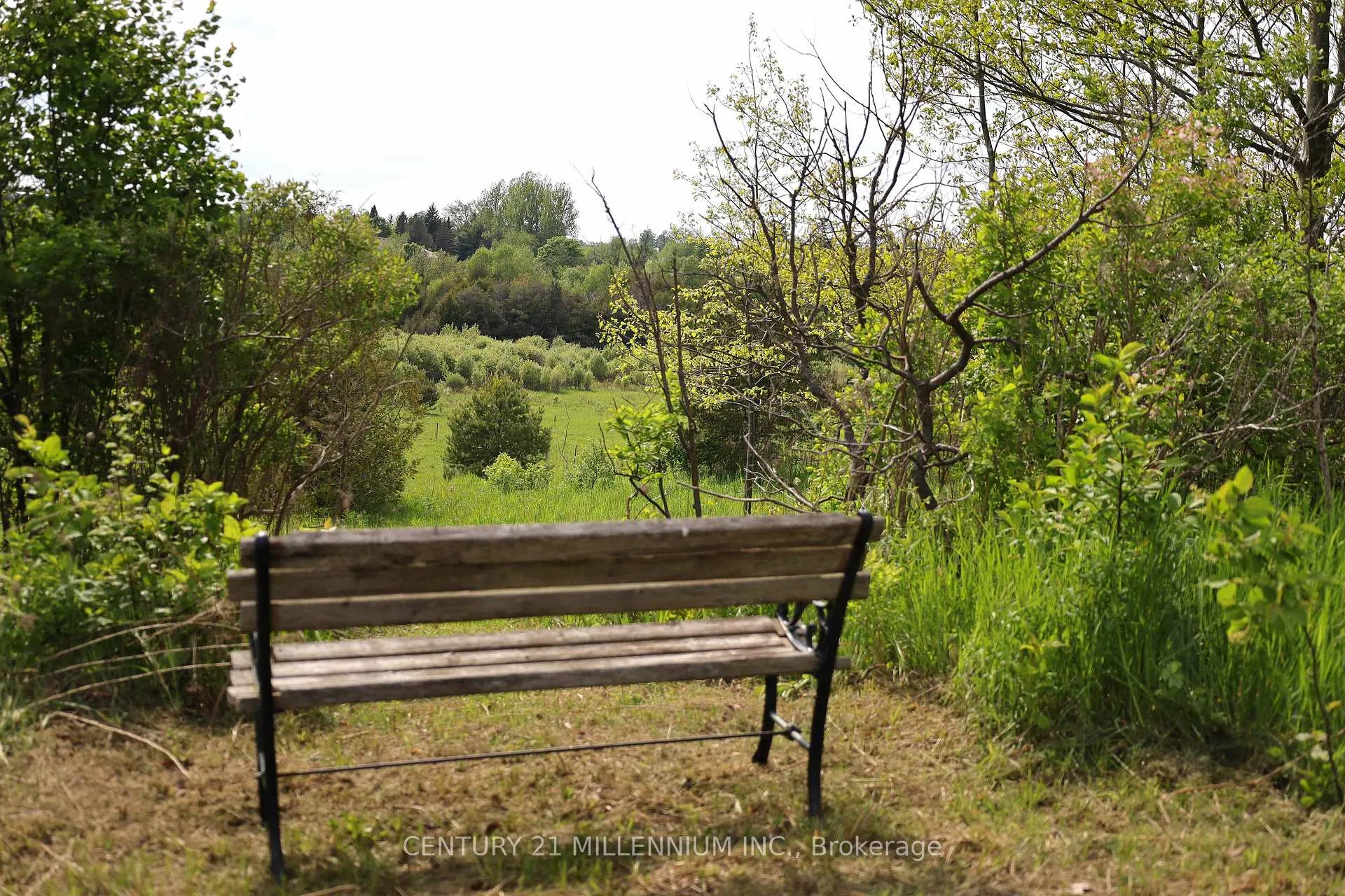 Photo 48 of 23 Grand View Road, Amaranth, Rural Amaranth — HOMEH