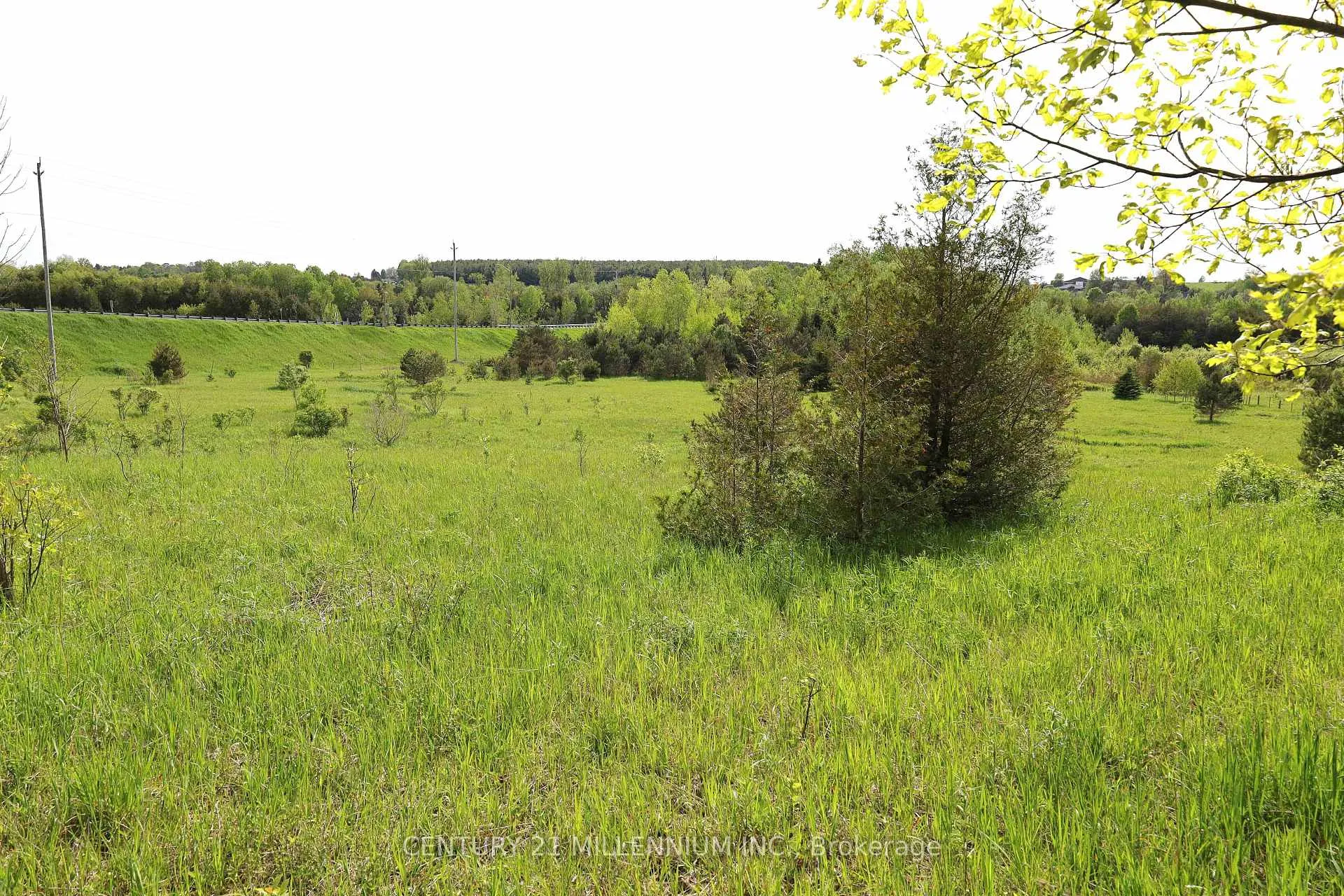 Photo 53 of 23 Grand View Road, Amaranth, Rural Amaranth — HOMEH