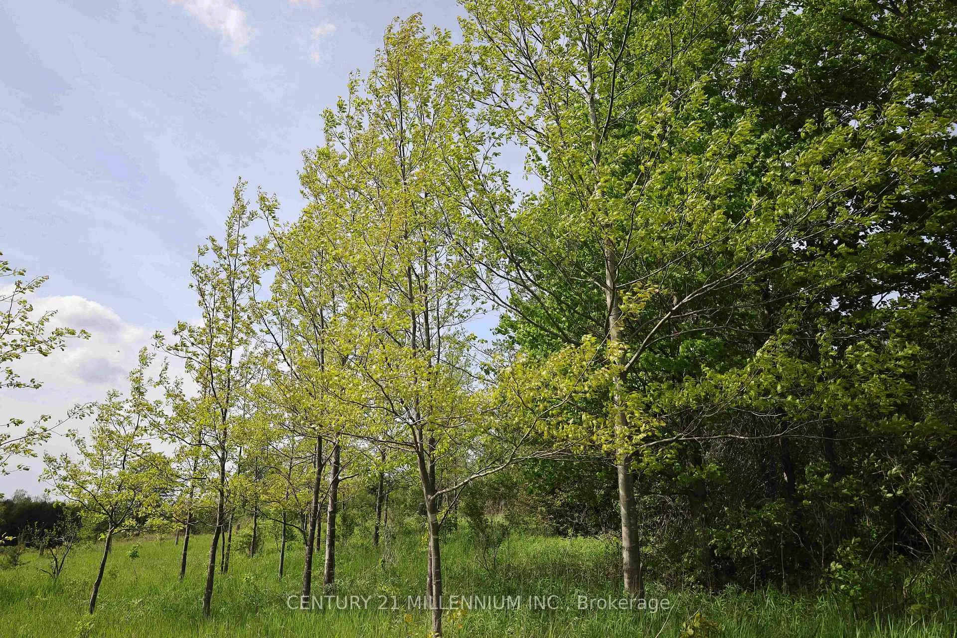 Photo 54 of 23 Grand View Road, Amaranth, Rural Amaranth — HOMEH
