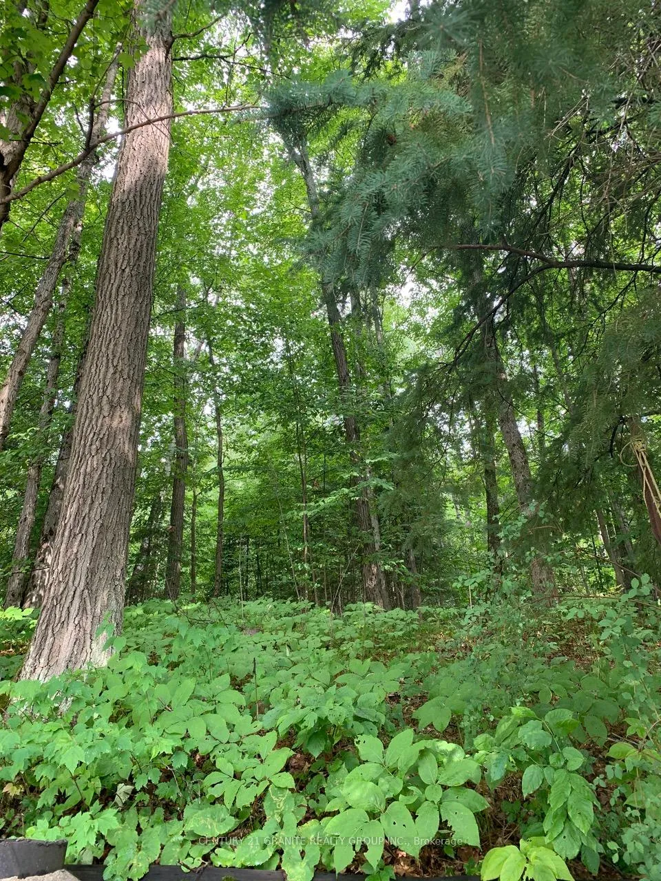 Photo 6 of 198 Gaebel Road, Bancroft, Bancroft Ward — HOMEH