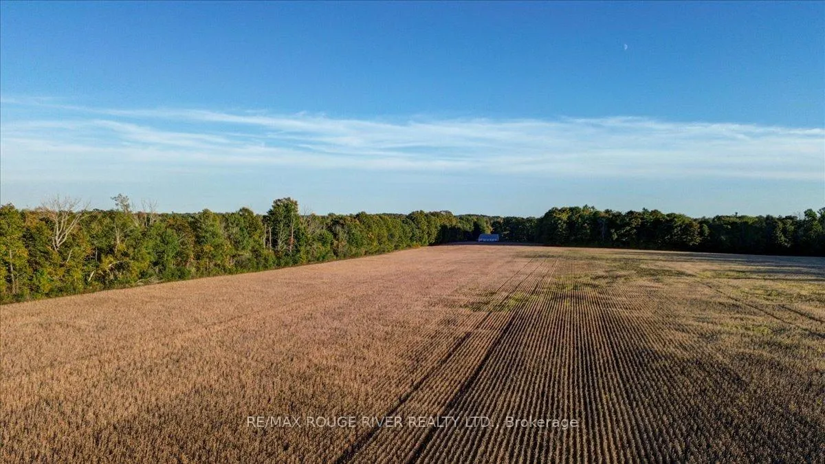 Photo 6 of 190 McBride Road, Alnwick/Haldimand, Rural Alnwick/Haldimand — HOMEH