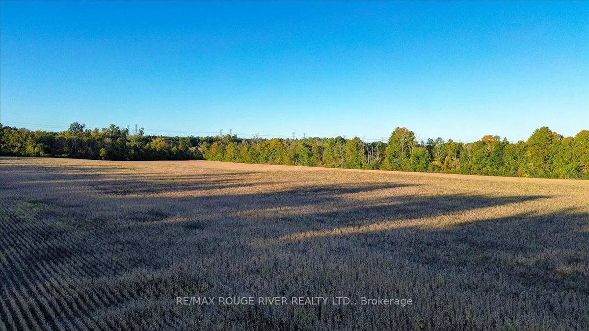 Photo 50 of 190 McBride Road, Alnwick/Haldimand, Rural Alnwick/Haldimand — HOMEH