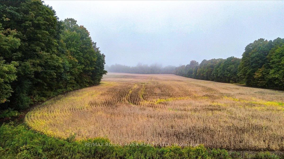 Photo 60 of 190 McBride Road, Alnwick/Haldimand, Rural Alnwick/Haldimand — HOMEH
