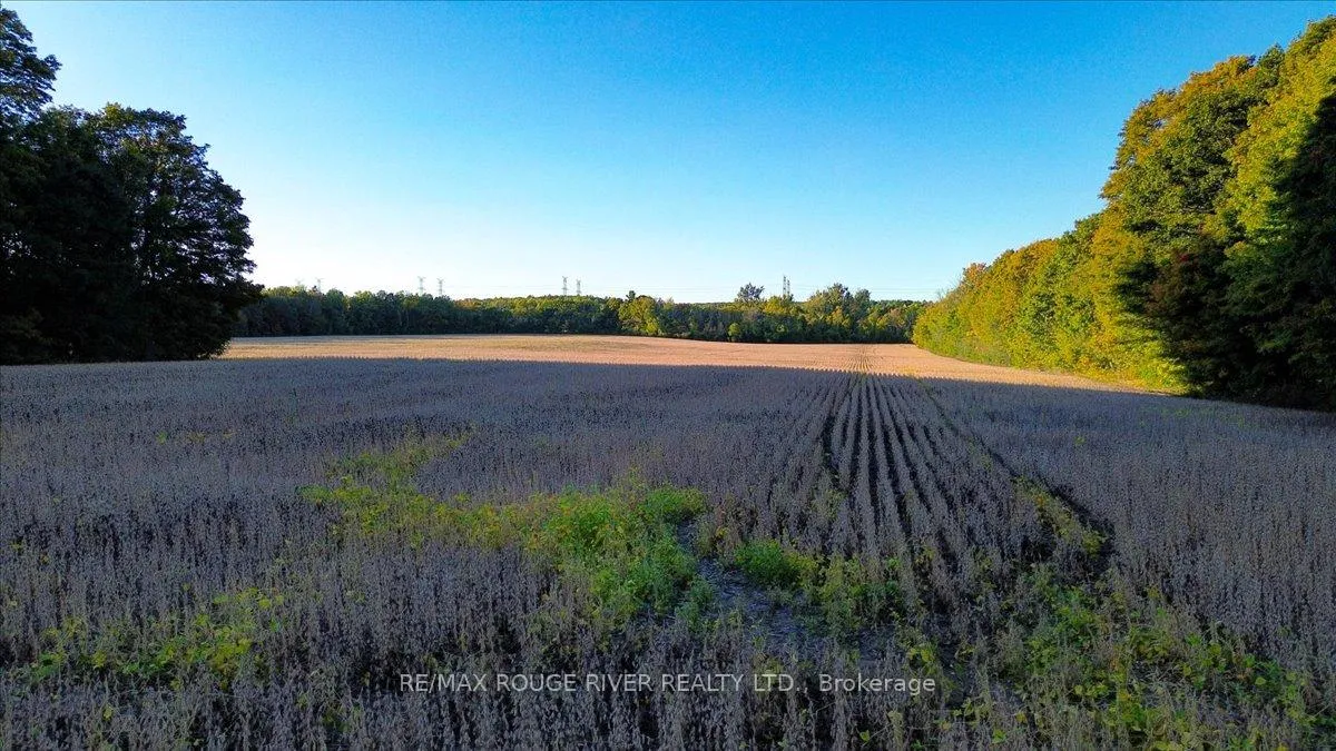 Photo 62 of 190 McBride Road, Alnwick/Haldimand, Rural Alnwick/Haldimand — HOMEH