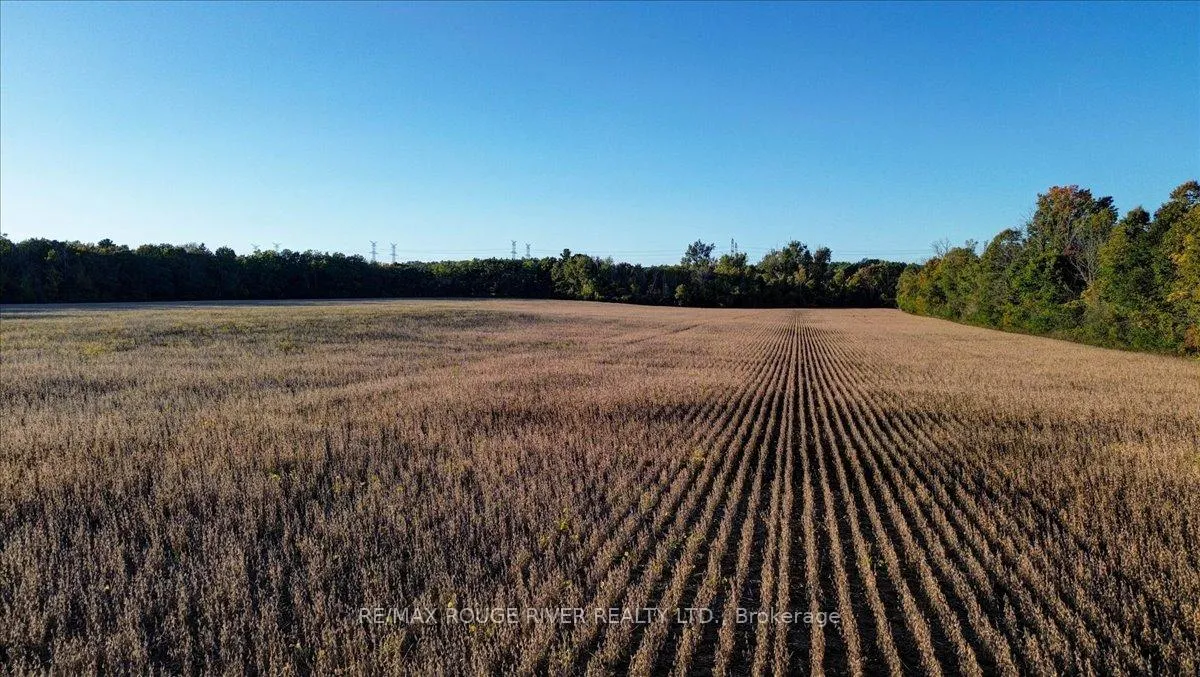 Photo 64 of 190 McBride Road, Alnwick/Haldimand, Rural Alnwick/Haldimand — HOMEH
