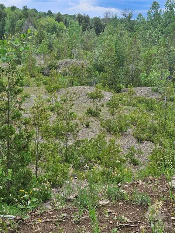 Photo 9 of 6678 Concession 6 Road E, Augusta, Augusta Twp — HOMEH