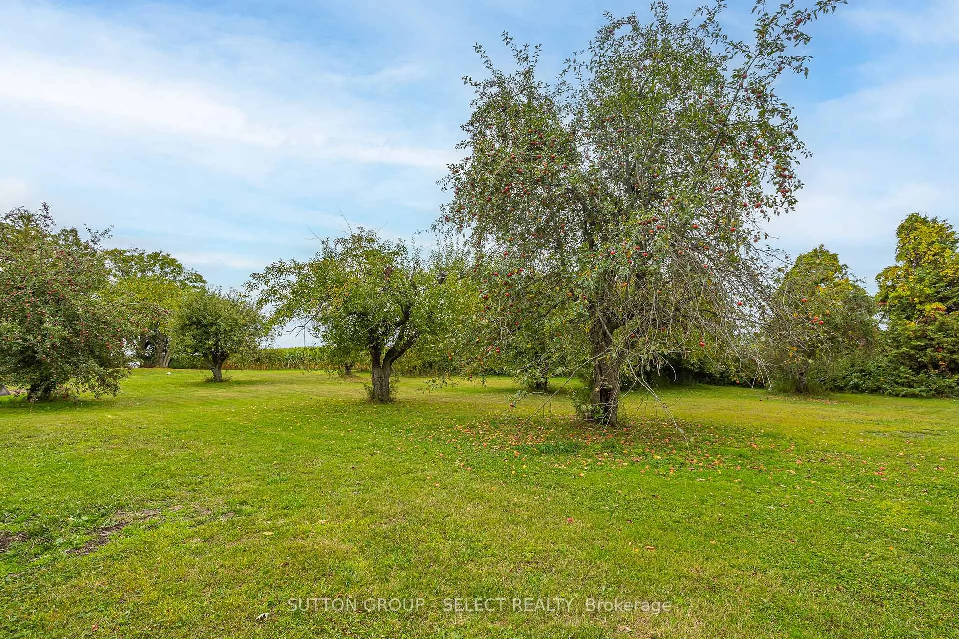 Photo 260 of 71479 Babylon Line, Bluewater, Hay — HOMEH