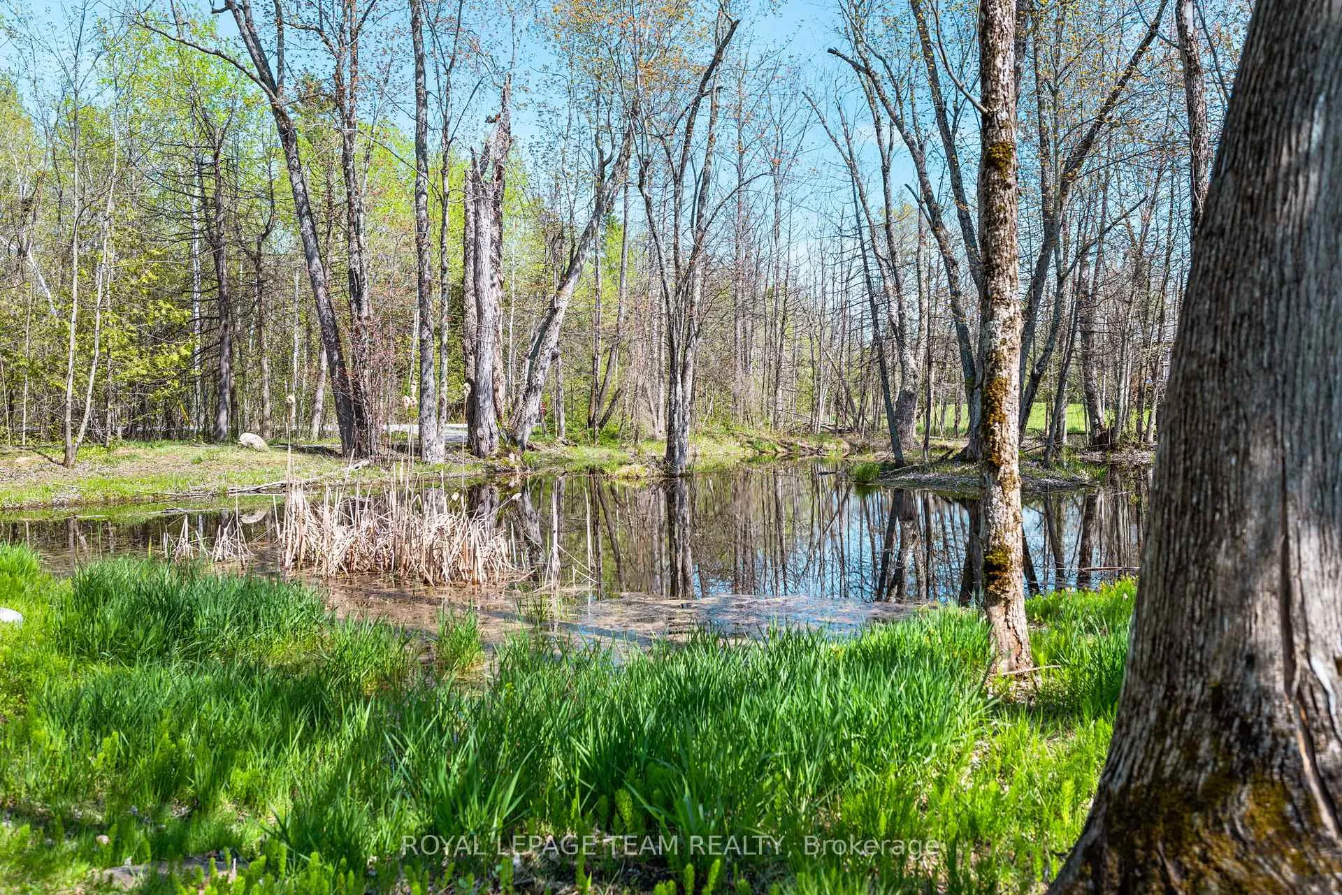 Photo 133 of 165 Cuckoos Nest Road, Beckwith, Beckwith Twp — HOMEH