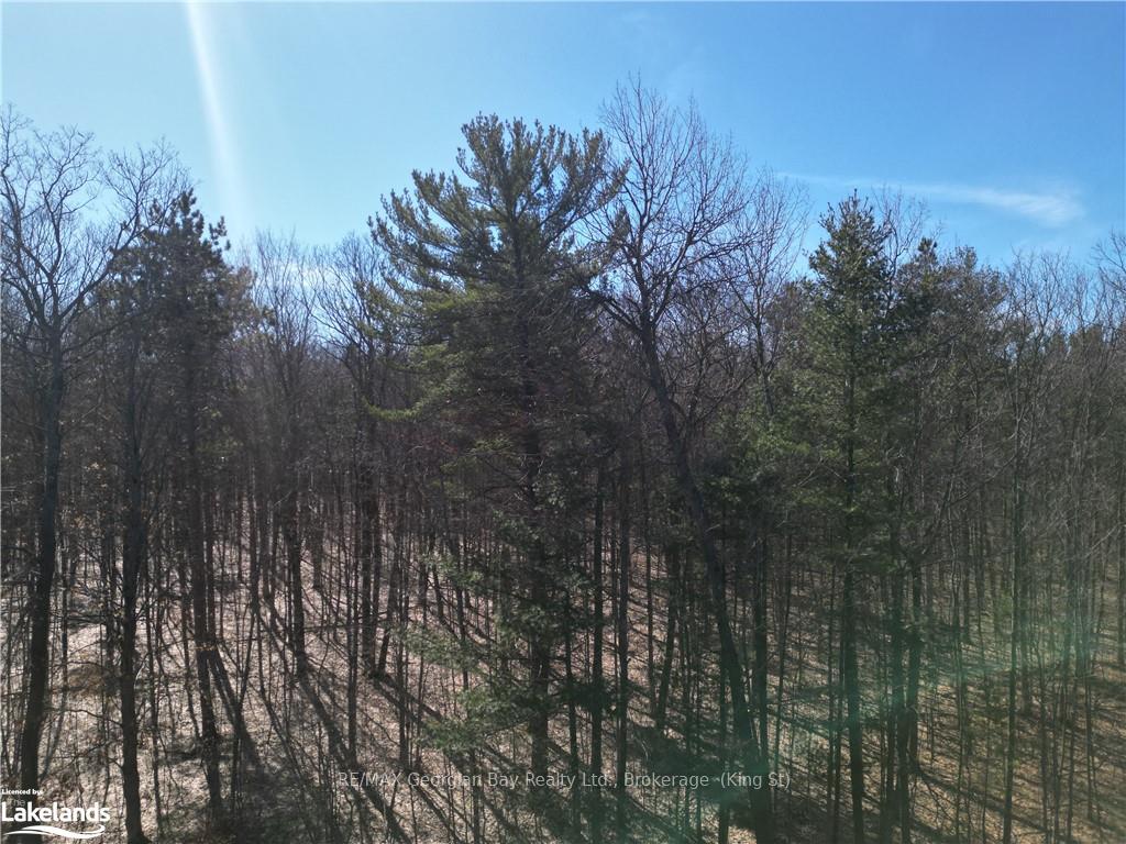 Photo 2 of Overhead Bridge Road, Tiny, Rural Tiny — HOMEH