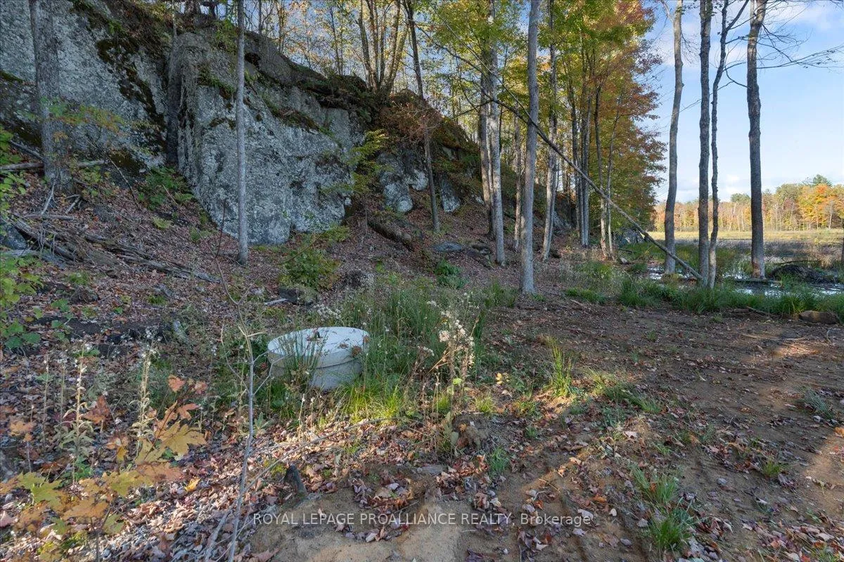 Photo 23 of 2650B Upper Flinton Road, Addington Highlands — HOMEH