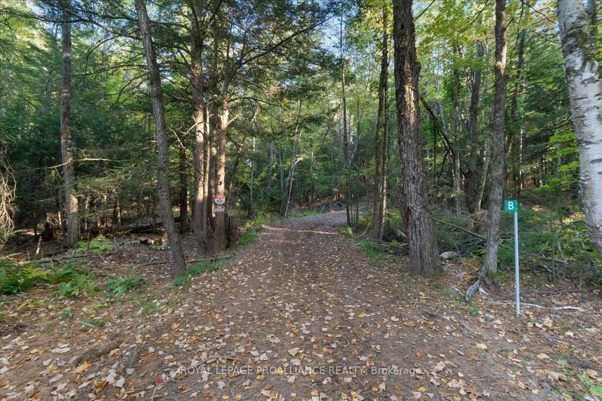 Photo 34 of 2650B Upper Flinton Road, Addington Highlands — HOMEH
