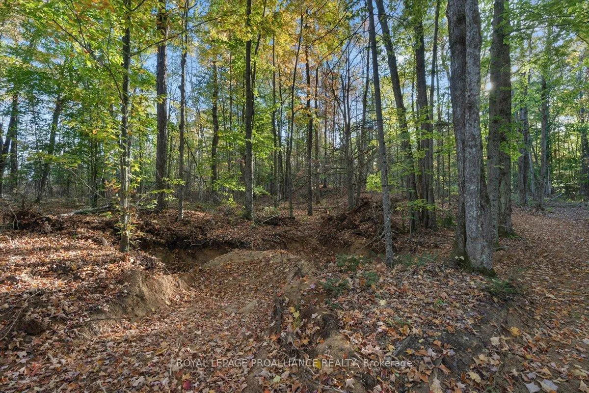 Photo 47 of 2650B Upper Flinton Road, Addington Highlands — HOMEH