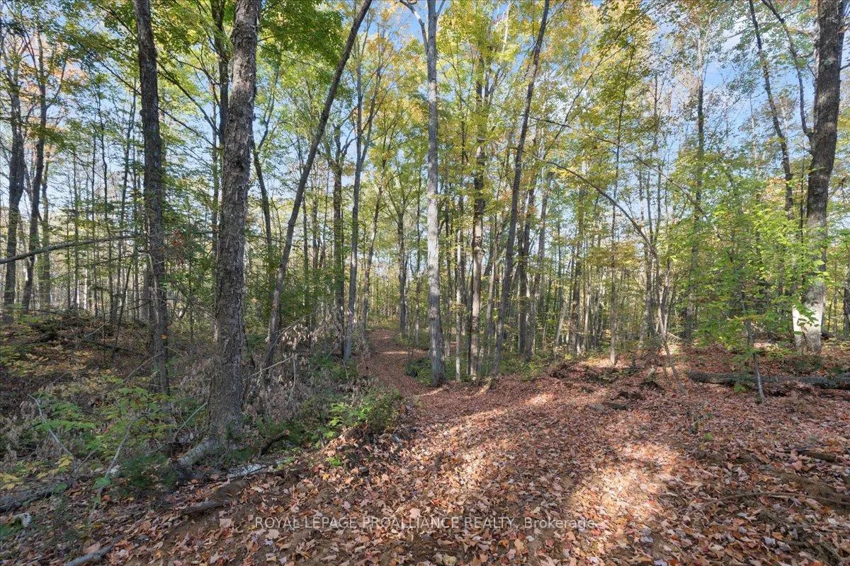 Photo 48 of 2650B Upper Flinton Road, Addington Highlands — HOMEH