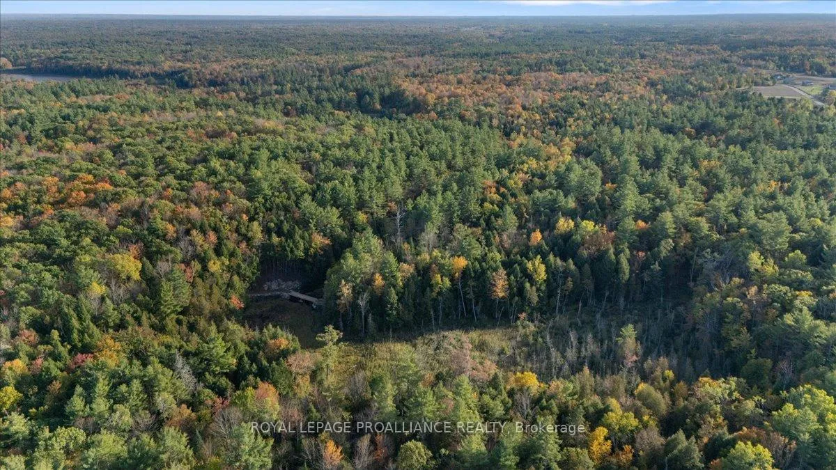 Photo 61 of 2650B Upper Flinton Road, Addington Highlands — HOMEH