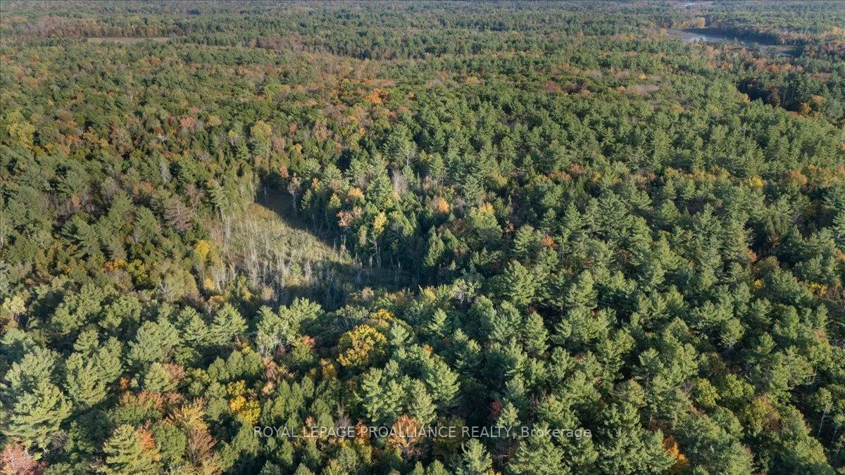 Photo 66 of 2650B Upper Flinton Road, Addington Highlands — HOMEH