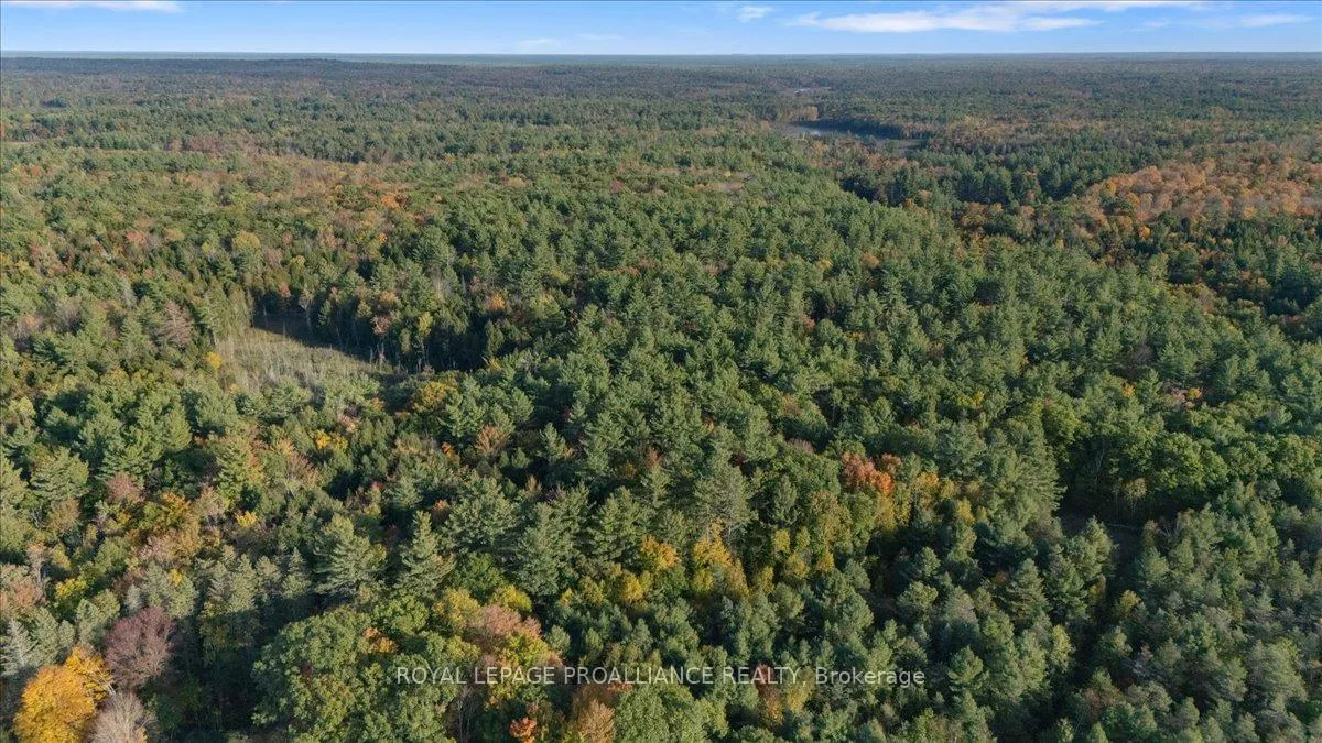 Photo 69 of 2650B Upper Flinton Road, Addington Highlands — HOMEH